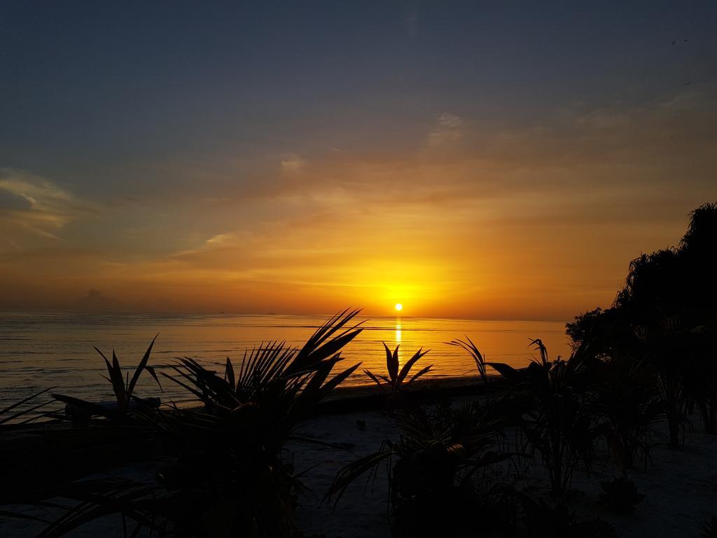 Island Guest Hotel Maamendhoo Ngoại thất bức ảnh