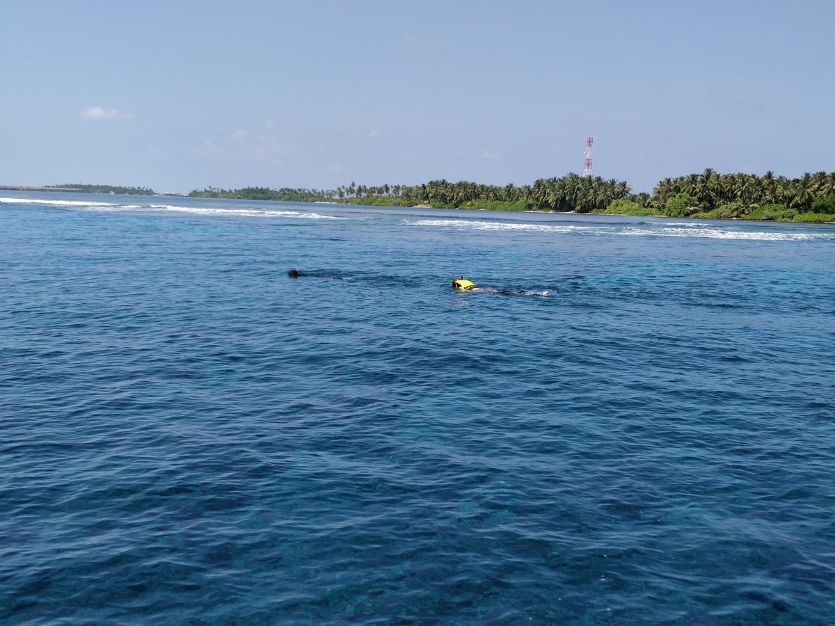 Island Guest Hotel Maamendhoo Ngoại thất bức ảnh